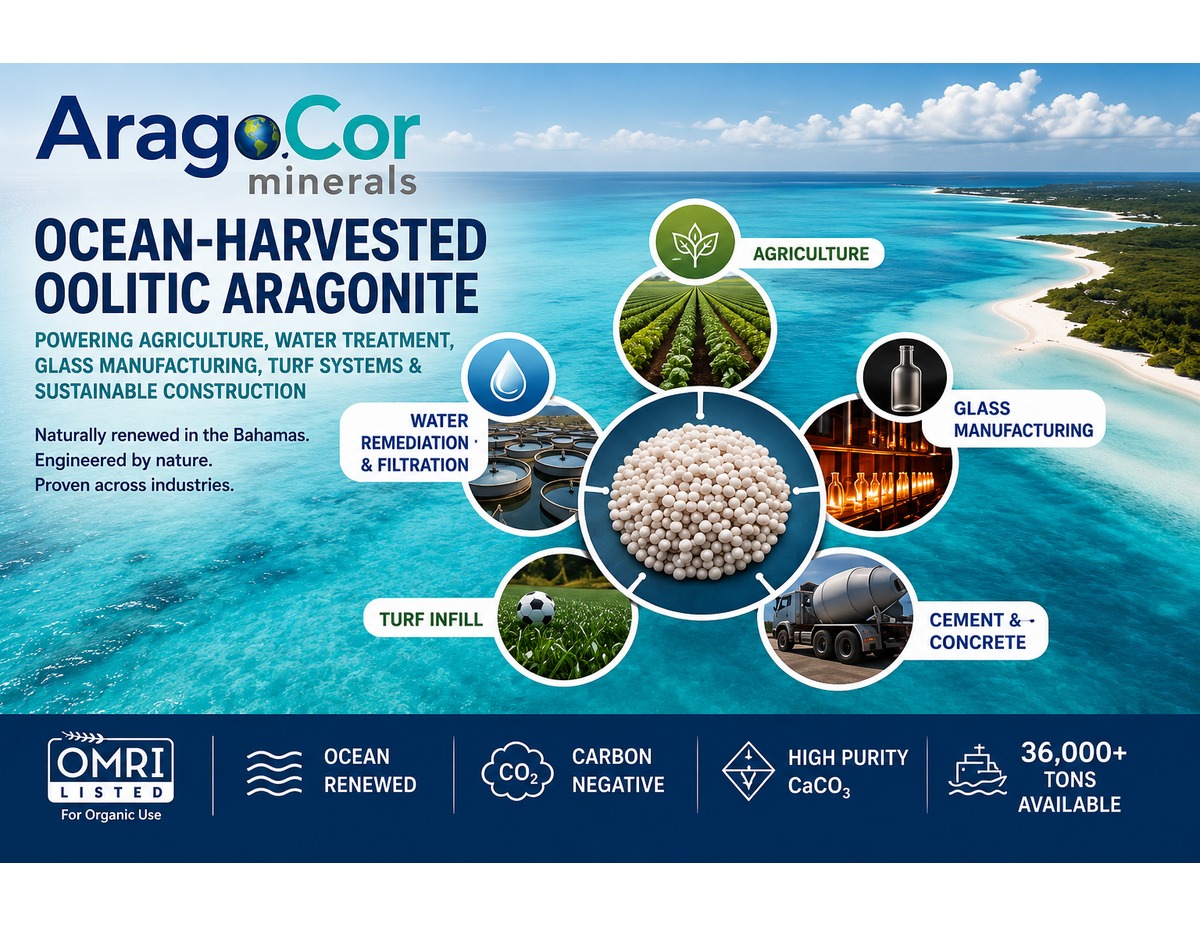 First-page preview of the AragoCor Minerals company overview brochure